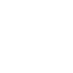 Weekly Updates